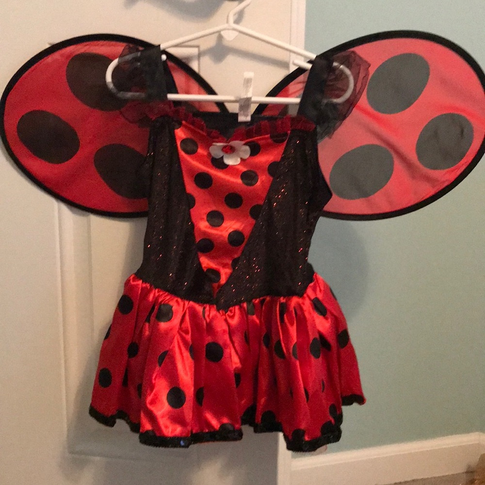 Ladybug costume 🐞